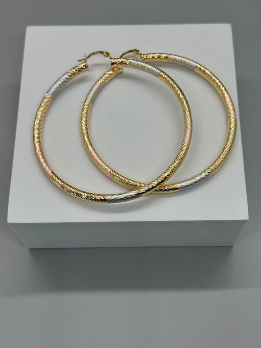 Stainless Steel Hoops Earrings